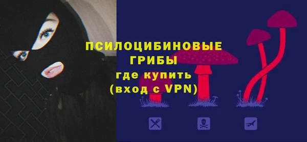 дмт Балахна
