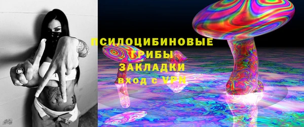 стафф Баксан